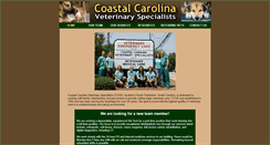 Desktop Screenshot of ccvsllc.com